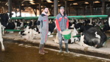 Deux hommes devant des vaches dans des logettes