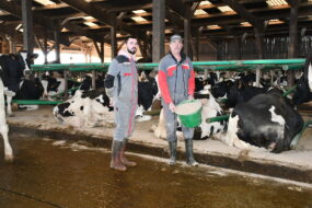 Deux hommes devant des vaches dans des logettes