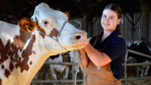 Une jeune fille pose avec une vache dans un bâtiment d'élevage
