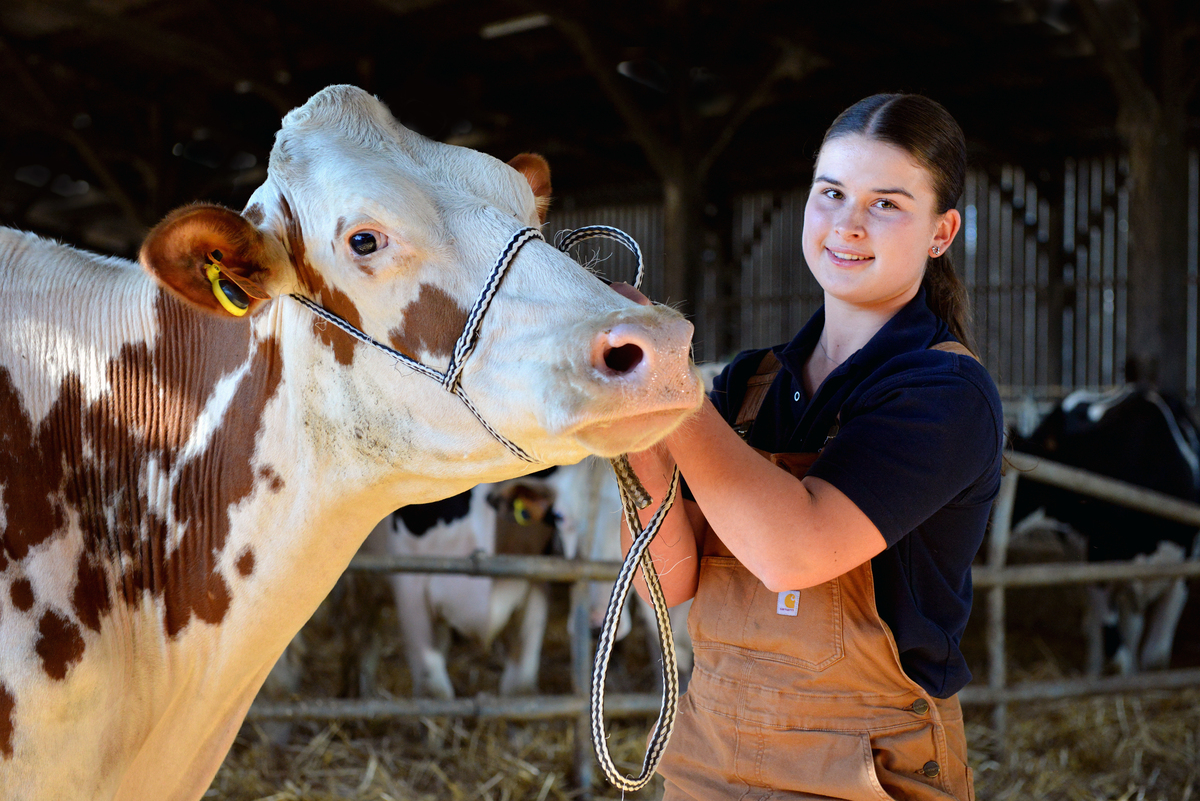 Une jeune fille pose avec une vache dans un bâtiment d'élevage - Illustration Sélection, préparation, concours, ces mots qui font vibrer Lucile