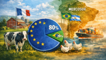 Infographie sur le Mercosur