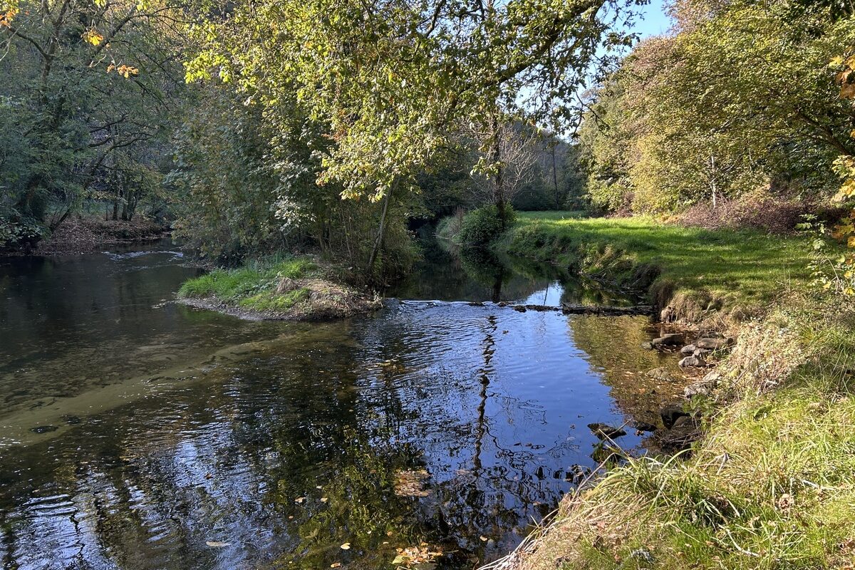 Une rivère dans un paysage de bocage - Illustration La Région en appelle au compromis