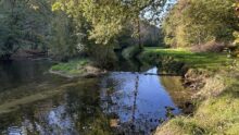 Une rivère dans un paysage de bocage