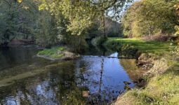 Une rivère dans un paysage de bocage