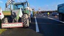 Des tracteurs près d'une route