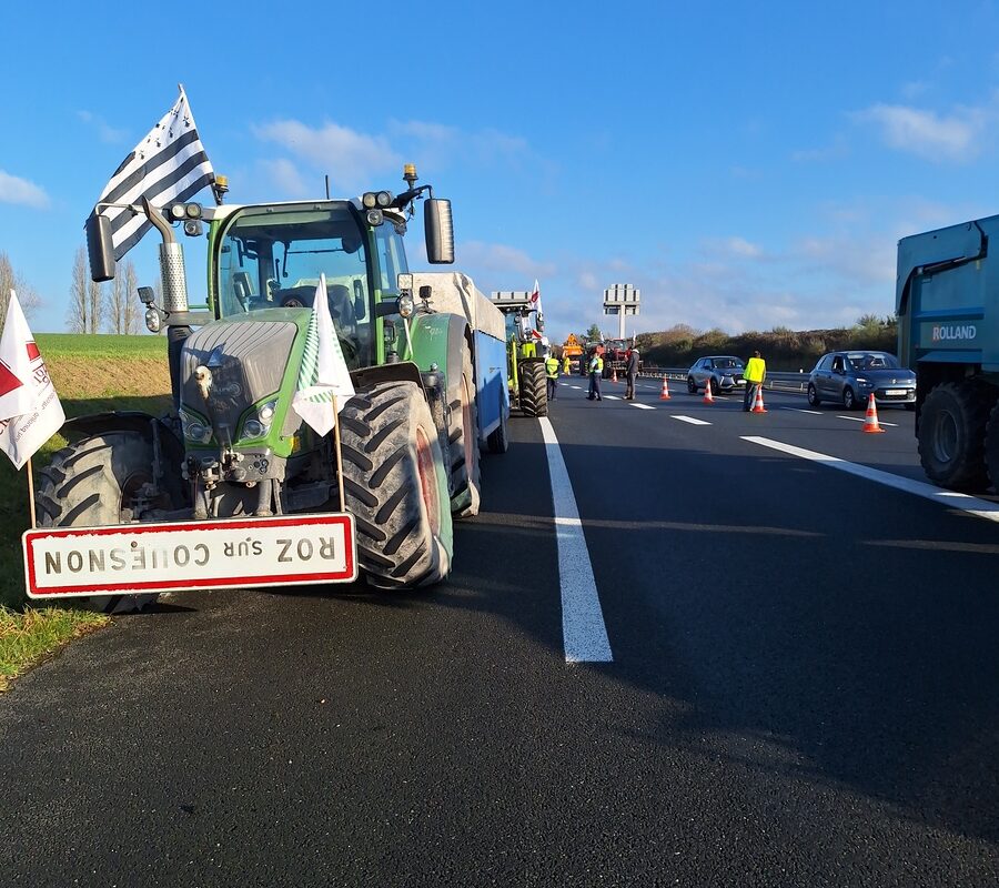 Des tracteurs près d'une route - Illustration Un camion de poulet brésilien intercepté
