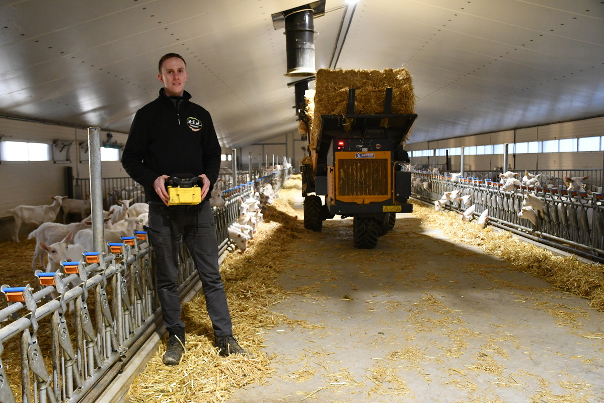 Un homme manie une dérouleuse-pailleuse à l'aide d'une télécommande dans un bâtiment d'élevage de chèvres - Illustration Bien pailler ses ruminants