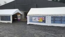 Deux chapitaux dans une cour devant un bâtiment d'élevage de porc