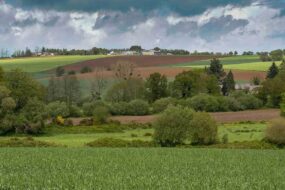 Paysage de bocage