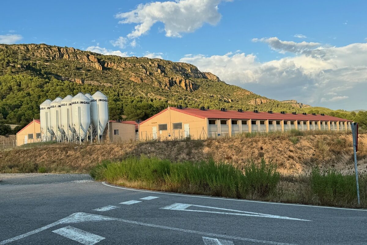 Des silos devant les bâtiments d'un élevage de porc en Espagne - Illustration « Le porc espagnol à 1 € du kilo nous fait mal »