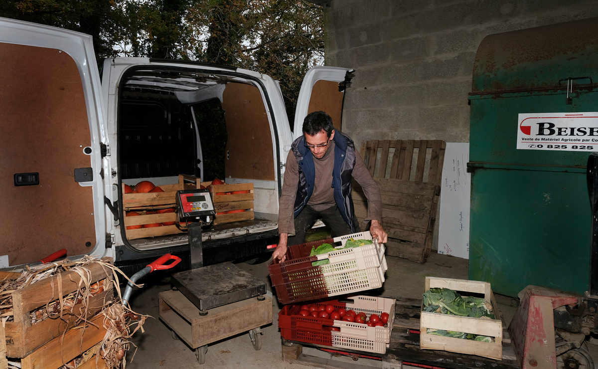 Un homme en train de charger des cageots de légumes dans une camionnette - Illustration AIder les maraîchers à repenser leurs bâtiments et la façon d’y travailler 