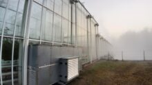 Extérieur d'une serre de tomate
