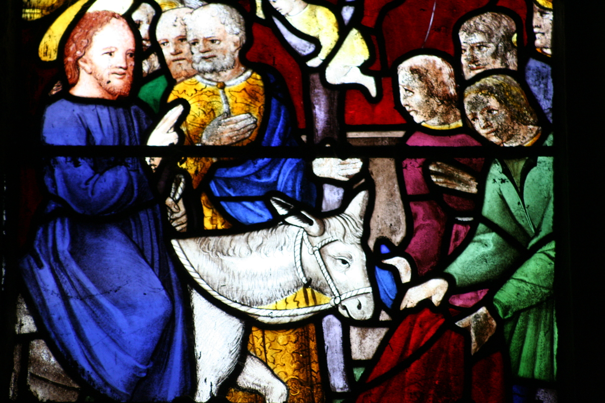 Vitrail de l'église Saint-Ouen des Iffs représentant l'entrée à Jérusalem - Illustration L’âne, pilier de l’agriculture paysanne