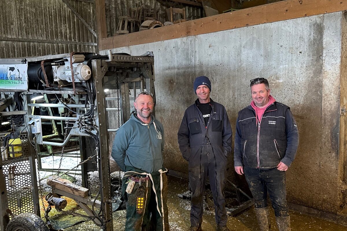 Trois hommes à côté d'une cage de parage pour bovins - Illustration Pour les pieds, des actions planifiées
