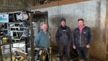 Trois hommes à côté d'une cage de parage pour bovins