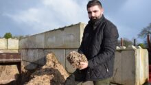 Un homme devant un silo de rhizomes de miscanthus « régénéré ».avec une poignée de ces rhizomes dans les mains