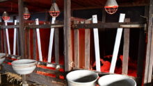 Les lampes au-dessus des cases à veaux.