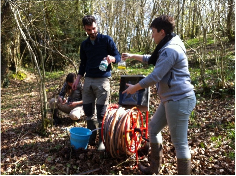 Trois personnes en train d'effectuer des analyses dans un bois - Illustration Une restitution d’études novatrices sur le bassin versant