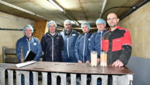 Des hommes dans un élevage de porcs