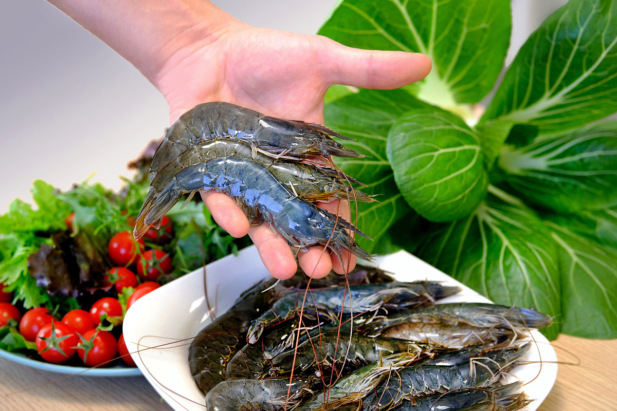 Des gambas présentées dans une main avec une assiette de gambas et une autre de légumes en arrière plan - Illustration Agriloops : leurs breizh gambas font aussi pousser des légumes 