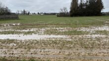 Une parcelle agricole innondée