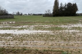 Une parcelle agricole innondée