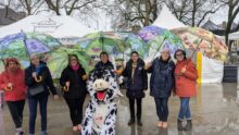 Sept femmes avec des parapluies prennent la pose avec mascotte,une vacche noire et blanche