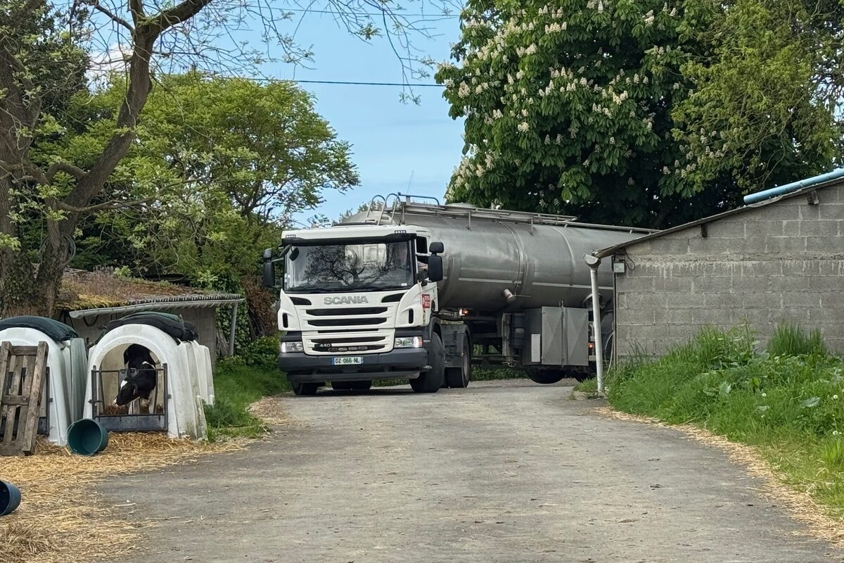 Un camion-citerne entre dans la cour d'une ferme où on aperçoit des niches à veau pour collecter la production.  - Illustration Transformation et consommation des produits laitiers : Que devient le lait français ?
