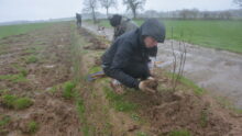 Des personnes plantent des arbres