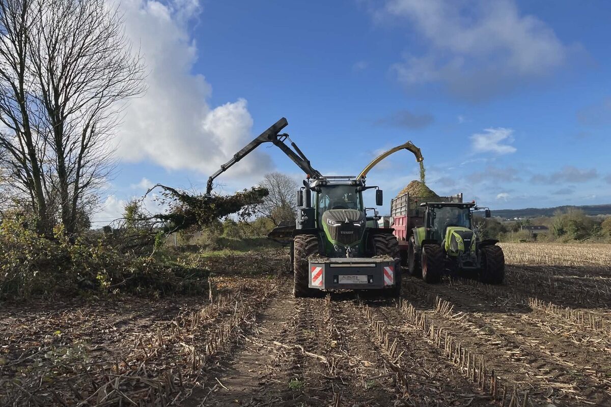 Deux tracteurs dont un avec un grappin et l'autre une remoque dans un champ avec ungr - Illustration Structuration d’une filière locale de valorisation durable