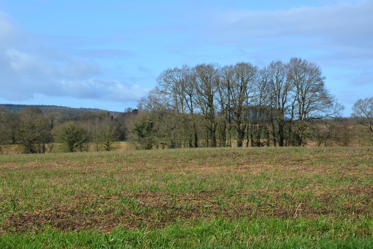 bocage breton en hiver - Illustration Bandes enherbées, rotations, travail du sol… : La protection de l’eau par les sols