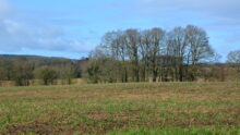bocage breton en hiver