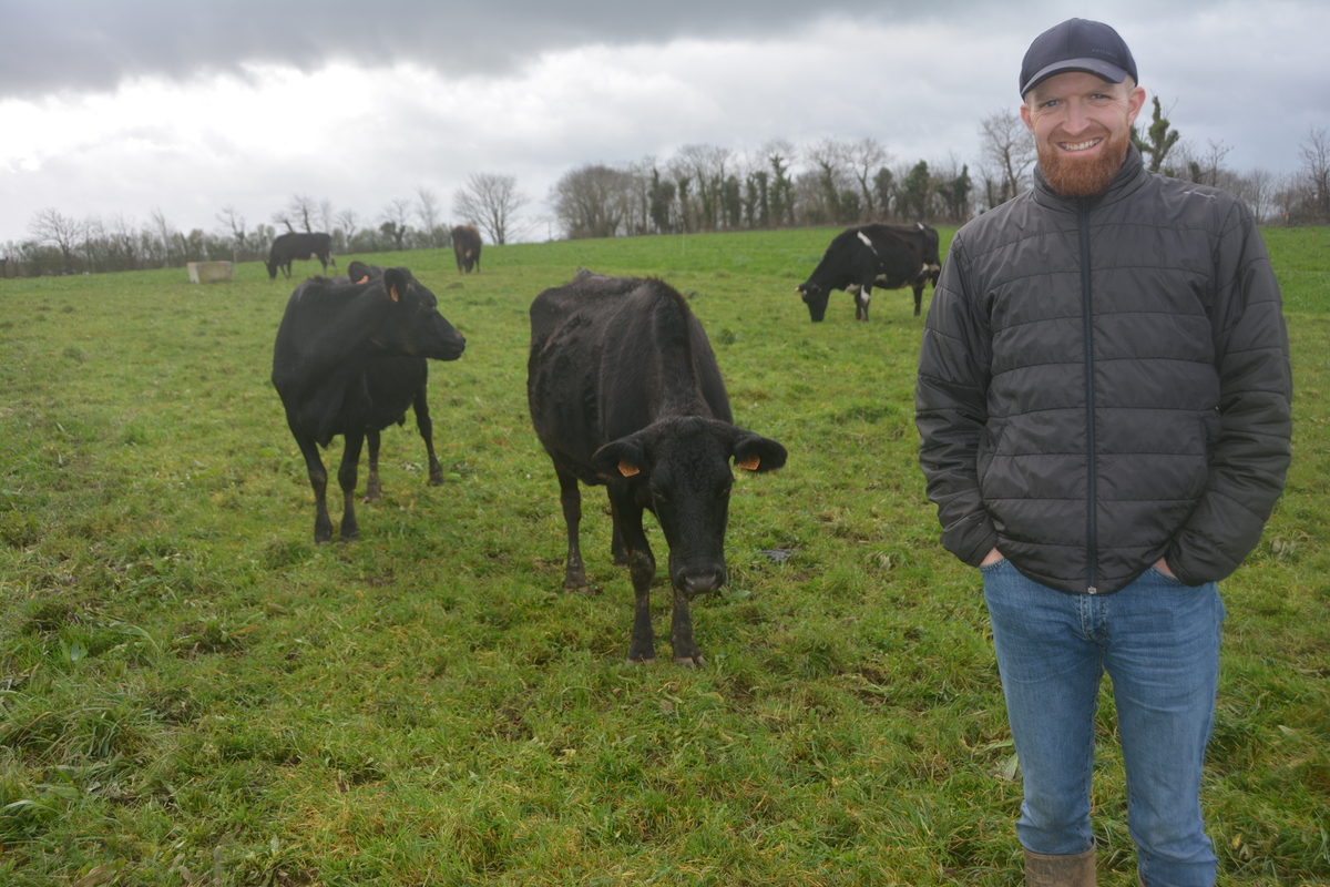 Un homme dans une pâture avec des vaches - Illustration Aller chercher du lait avec la génétique de l’herbe