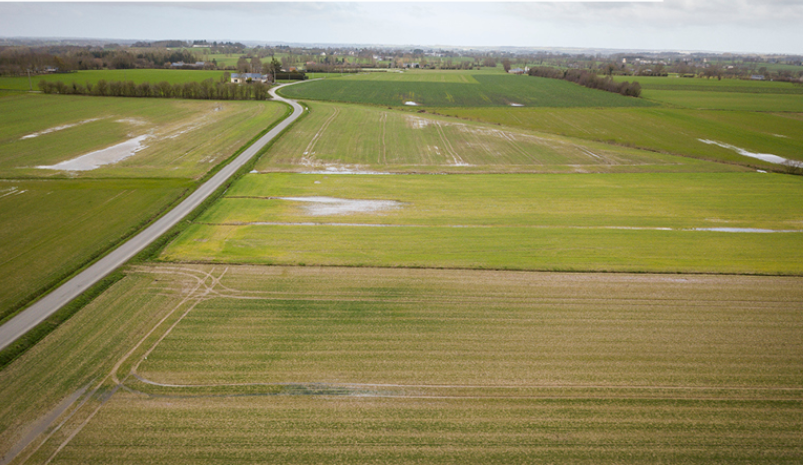 vue aérienne de parcelles agricoles très chargées en eau - Illustration Des reliquats sortie hiver 2026 faibles 