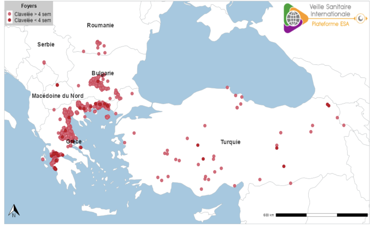 Carte situant les foyers de clavelée en Grèce - Illustration Se préparer à l’arrivée de la clavelée