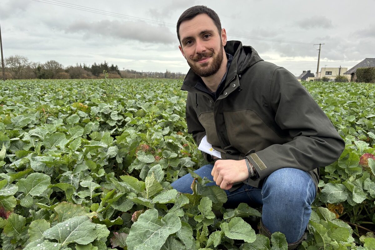 Un homme accroupi dans un champ de colza - Illustration La bonne fertilisation se calcule