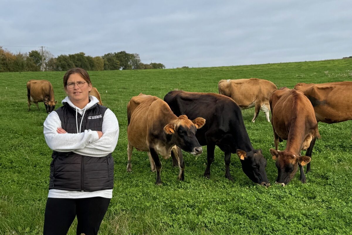 Une éleveuse accompagne de vaches de race Jersiaise au pâturage - Illustration Le méteil sécurise l’installation du système herbager