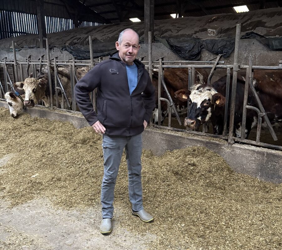 Un homme devant des vaches au cornadis - Illustration Entre modernité, passion et défis sociétaux