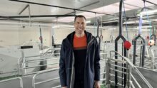 Éleveur porcin dans maternité neuve