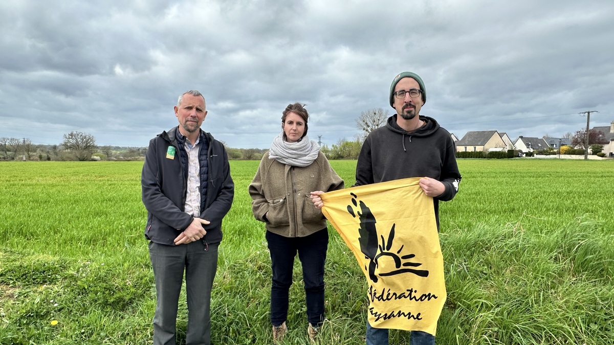 trois membre de la Conf 35 devant un champ - Illustration « Il faut trouver et financer des alternatives à la chimie »
