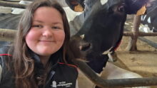 Une jeune femme à côté d'une vache couchée dans une stabulation