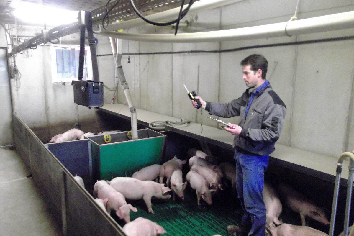 Un éleveur mesure l'exposition à l'ammoniac de ses porcelets dans un bâtiment d'élevage - Illustration Limiter l’agitation des animaux