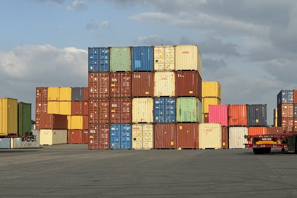 Des containers de couleurs empilés dans un port - Illustration Les insectes voyagent, les maladies avancent
