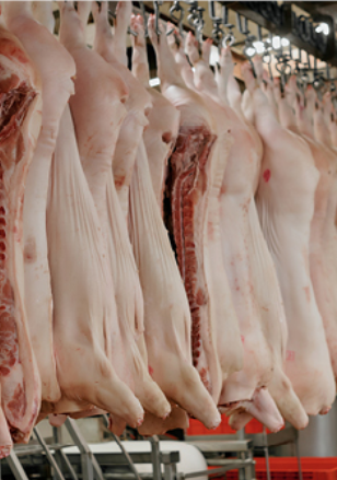 carcasses de porc suspendues dans un abattoir - Illustration La filière porcine US, solide mais sous tension