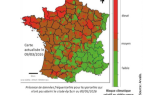 carte piétin verse campagne 2026