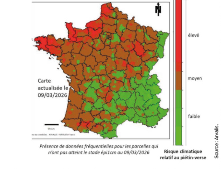 carte piétin verse campagne 2026 - Illustration Risque de piétin verse sur variété sensible