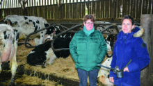 Deux éleveuses dans un bâtiment d'élevage avec des vaches en logette
