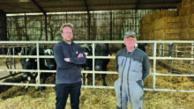 deux éleveurs devant des vaches