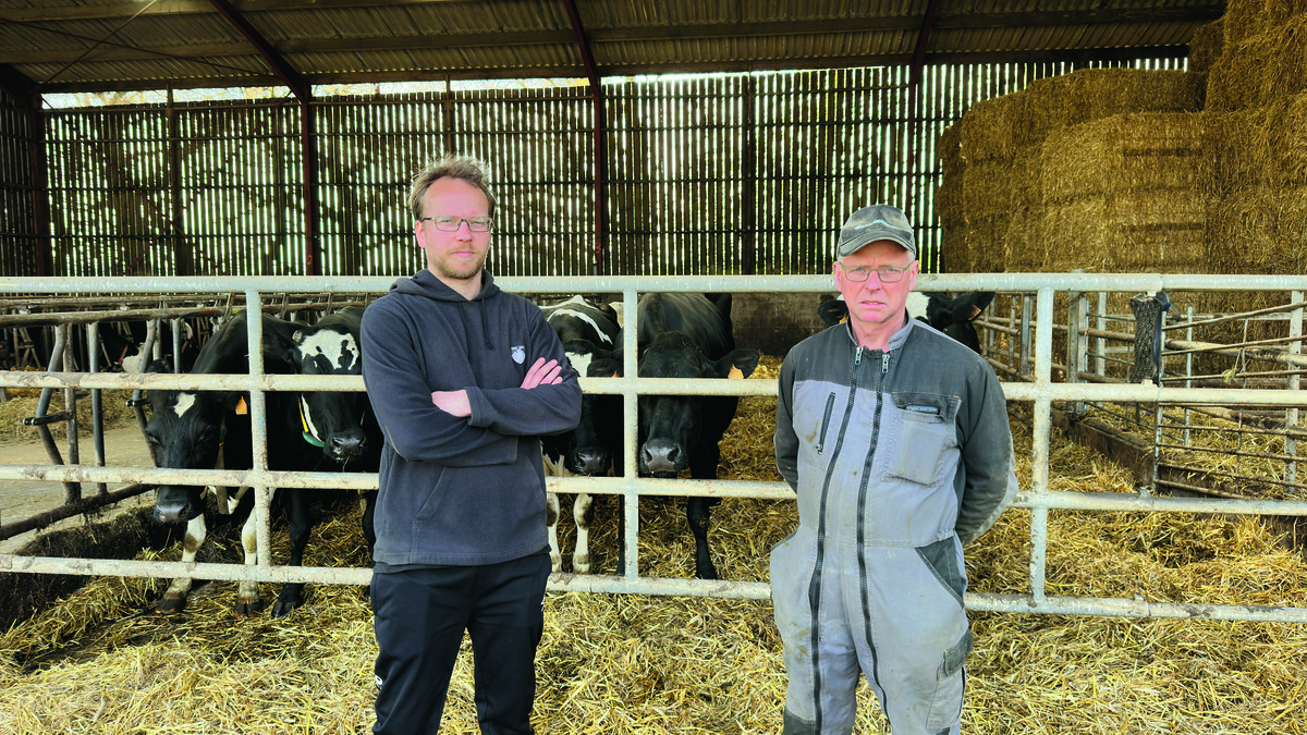 deux éleveurs devant des vaches - Illustration Les vaches ont bon pied, bon œil