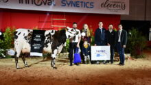 Un groupe de personnes et une vache sur un ring lors de la remise des prix d'un concours bovin